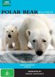 Polar Bears: Spy on the Ice